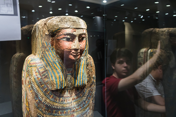 Саркофаг египтянина и мумию кошки привезли в Новосибирск из Пушкинского музея