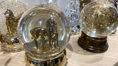 Новосибирцам рассказали, как сэкономить на новогодних подарках в интернете