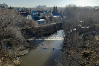 Горы мусора из реки Тула пообещали убрать в Новосибирске
