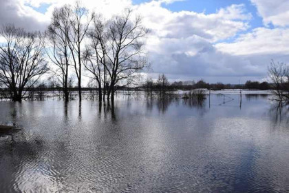 Экстренное предупреждение: река Бакса приближается к домам под Новосибирском