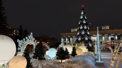 В Новосибирской области усилят безопасность на новогодние праздники