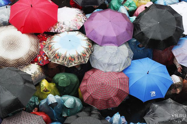 Импорт зонтов вырос в 2,5 раза 