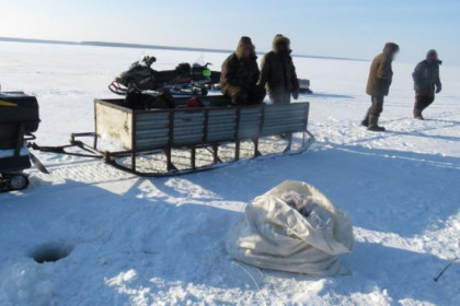 Двенадцать километров сетей изъяли у браконьеров в Новосибирске