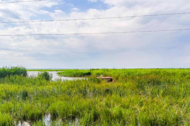 Рыбака убило током на озере Индерь под Новосибирском