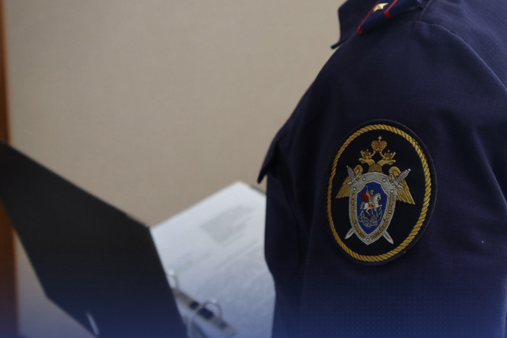 Бастрыкин взял на контроль расследование дела мигранта-насильника из Бердска