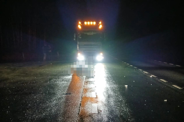 Пешеход погиб под колесами фуры в Коченевском районе