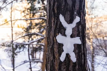 Тепло усилится в Новосибирске в день Павла Ледостава 19 ноября