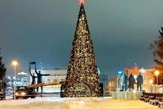 Купить Новогоднюю Елку В Новосибирске