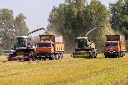 Какие источники финансирования доступны новосибирскому бизнесу в 2026 году