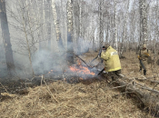 Камеры «Лесохранитель» обнаружили возгорания в Куйбышевском районе