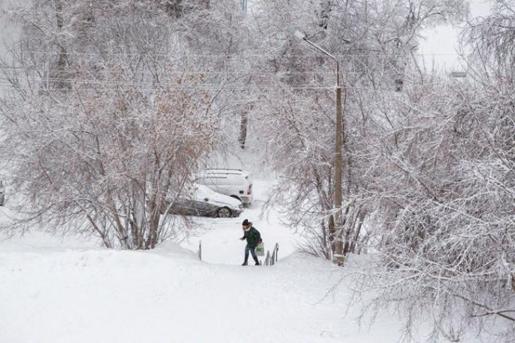 На окраине Татарска в мороз высадил школьника водитель маршрутки