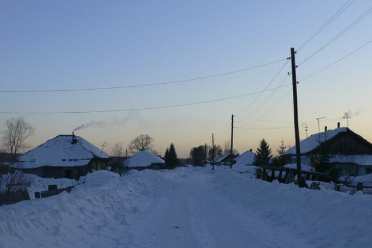 Коченевский район село