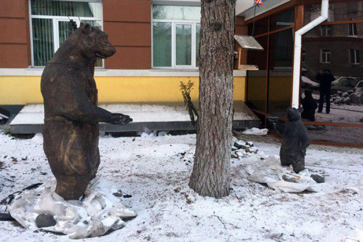Медвежонок из Новосибирского зоопарка стал кормить белок