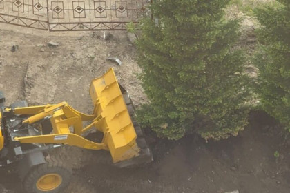 Торговый центр построят на месте варварски вырванных елей в Новосибирске