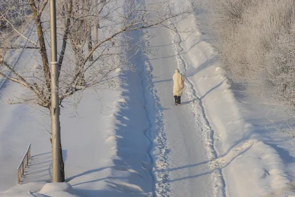 Андрей Травников предупредил о сложном паводке-2026 в Новосибирской области