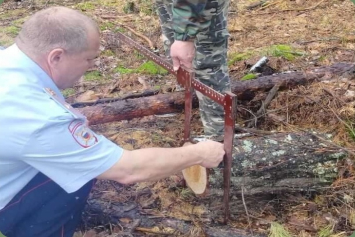 Неправильно собирали валежник в лесу жители Ордынки
