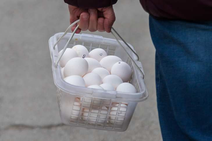 Новосибирская область стабилизирует ситуацию на рынке куриного мяса и яиц