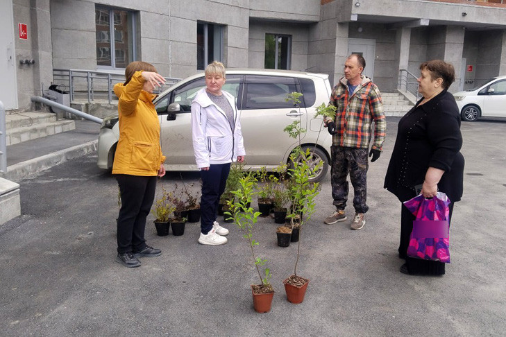 С посадкой деревьев укрепляется и общественное самоуправление