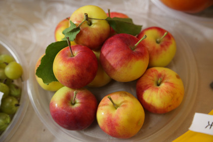 Праздник Яблочный Спас и Преображение Господне 19 августа 2023: православные поздравления, стихи и открытки