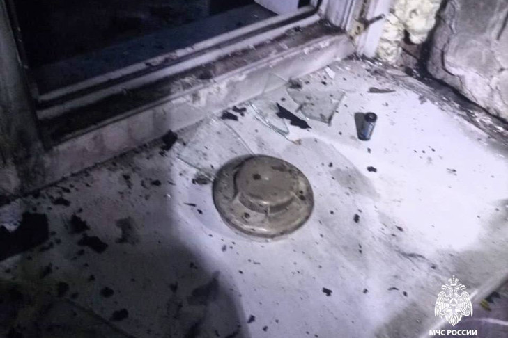 Громкий звук спас бабушку и внучку от смерти под Новосибирском