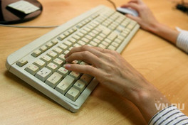 Единую систему защиты от киберугроз создадут в НСО