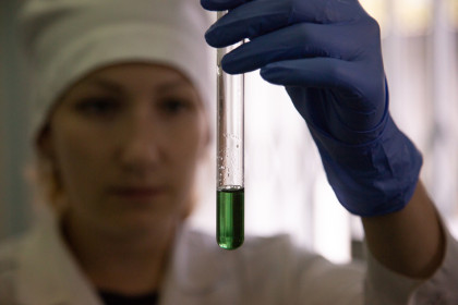 В Новосибирске сообщили о начале тестирования туристов из Индии на вирус Нипах