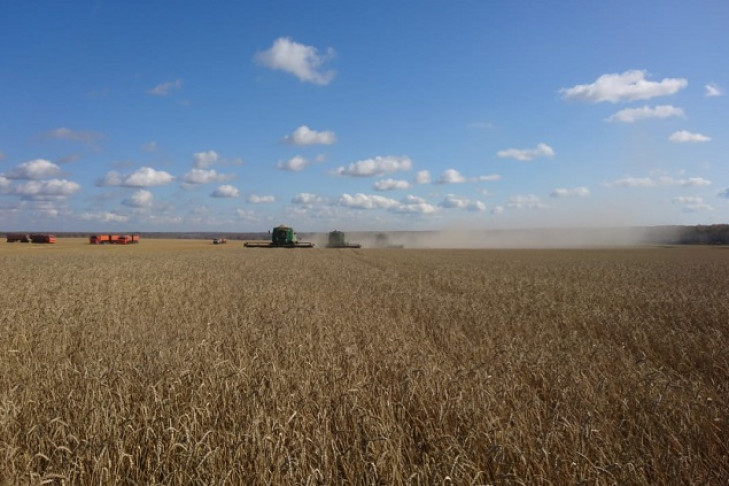Губернатор поздравил аграриев Маслянинского и Сузунского районов с завершением уборки зерновых
