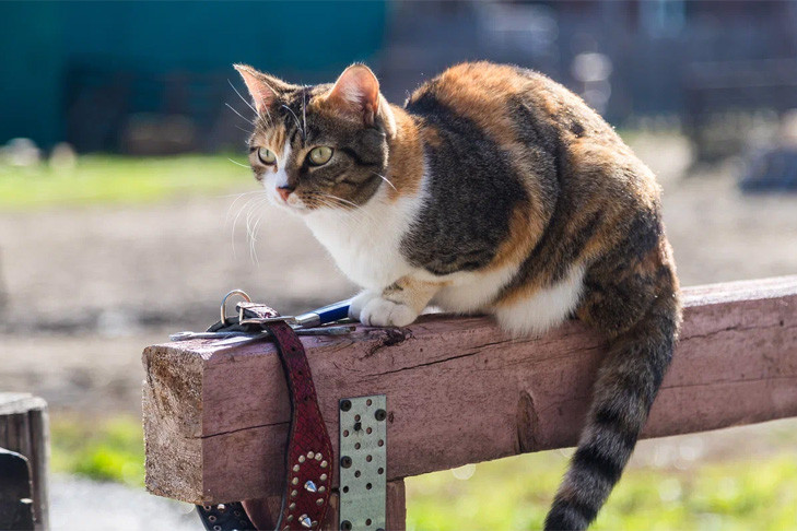 Прогноз погоды на 29-31 июля в Новосибирске сделали синоптики