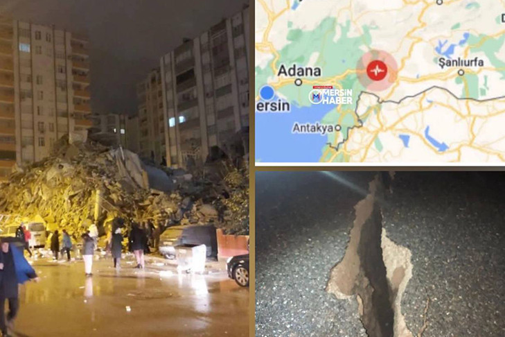 Собака нас спасла: жительница Новосибирска пережила землетрясение в Турции