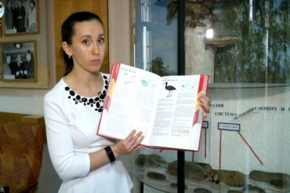 В Красную книгу НСО включат еще 20 видов животных