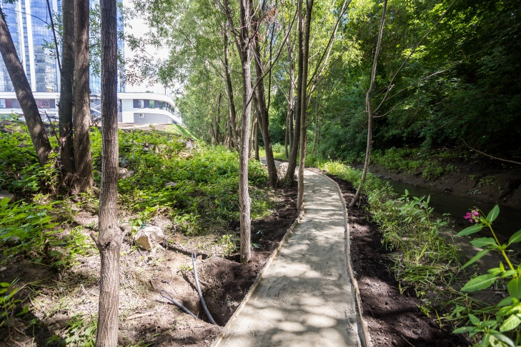 О главных симптомах болезни после укуса клеща рассказала врач Филева