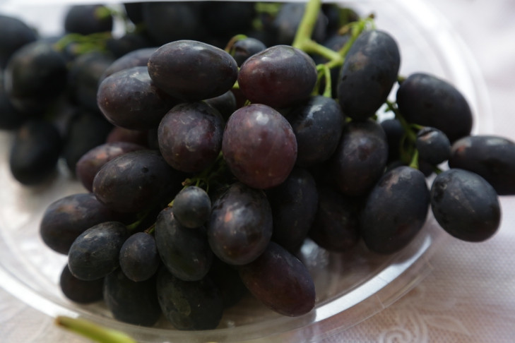Десятки тонн винограда не пустили в Новосибирск из-за растения-паразита