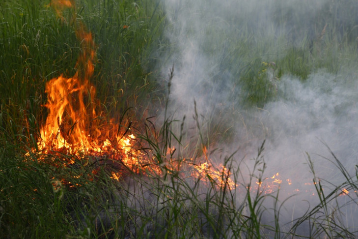 О риске пожаров и запрете разводить костры напомнили новосибирцам