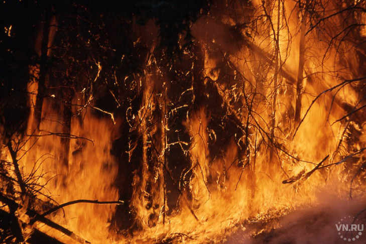 С опозданием приходит в МЧС информация о природных пожарах