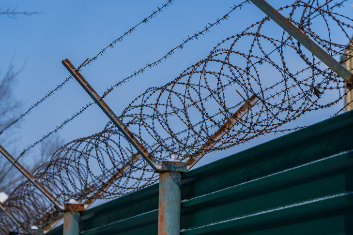 Мигрант получил срок за наследство от мамы под Новосибирском