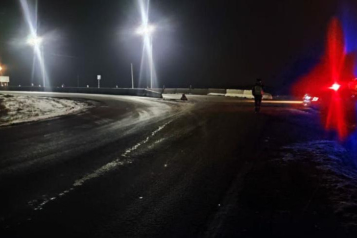 Водитель Лады врезался в столб и дерево под Новосибирском