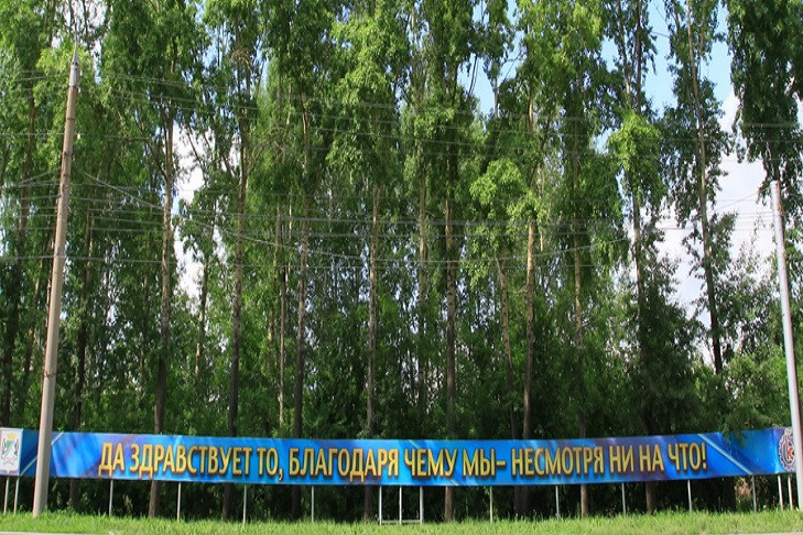Абсурдный лозунг на Петухова сохранили как достопримечательность Новосибирска