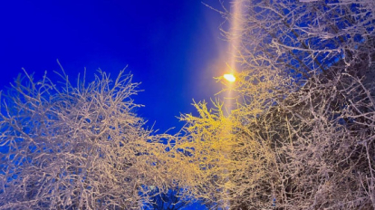 Морозы вернутся в Новосибирск в конце недели