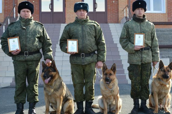 ФСБ наградила трех новосибирских овчарок 