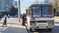 В Новосибирске запустят ещё пять дачных автобусов