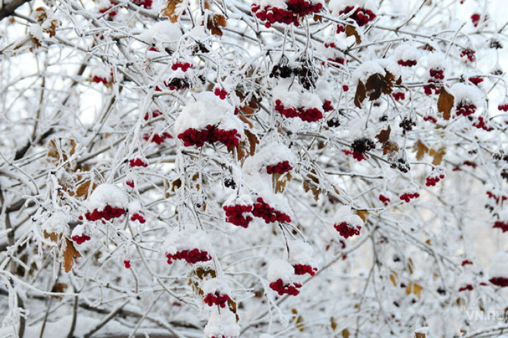 Погода 21 и 22 декабря в Новосибирске: снежно, скользко и слишком тепло