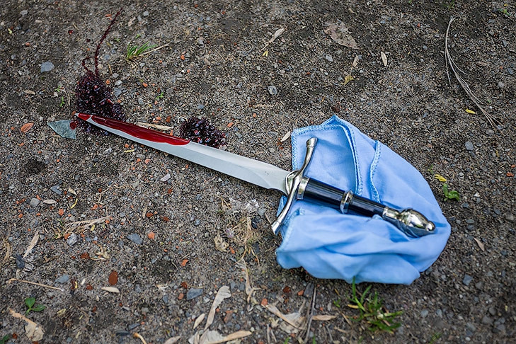 Девять лет за убийство брата дали жителю Новосибирска