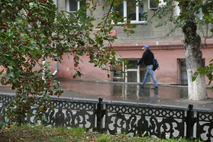 Ливни и холод: прогноз на середину сентября в Новосибирске