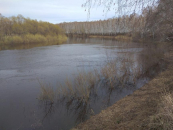 Реки Венгеровского района грозят половодьем