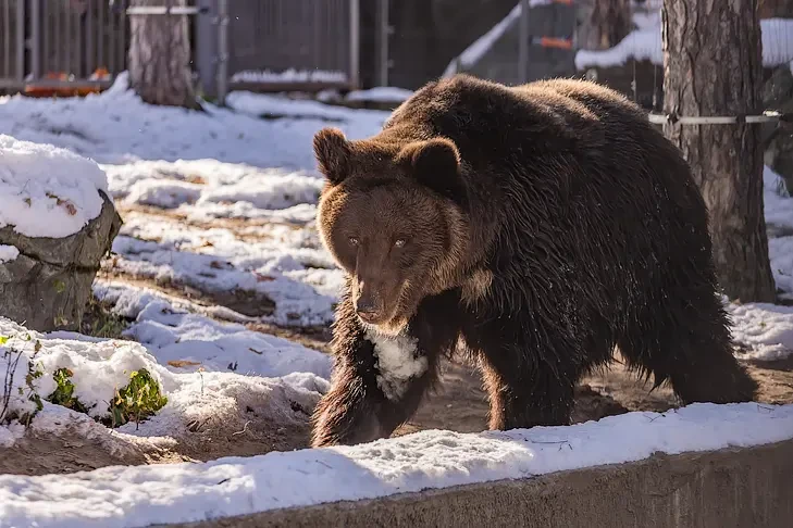 Первая декада октября-2025 побила рекорд холода в Новосибирской области