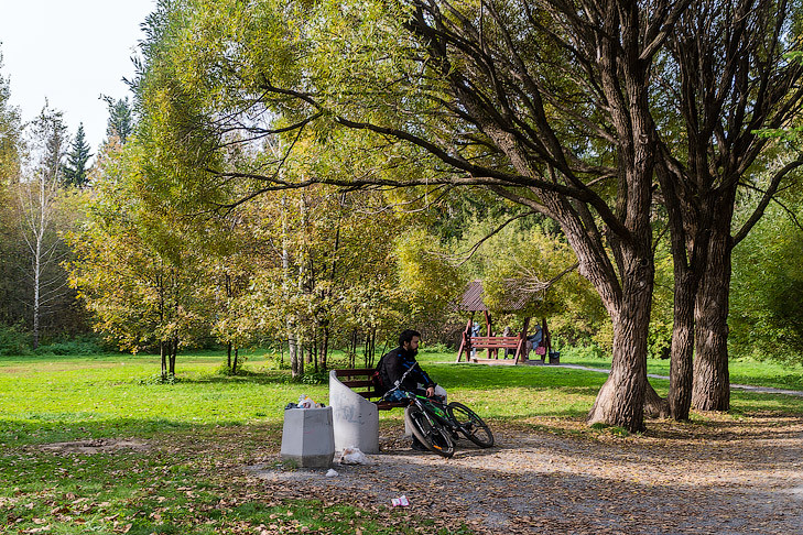 Потепление до +20 и новое бабье лето придет в Новосибирскую область