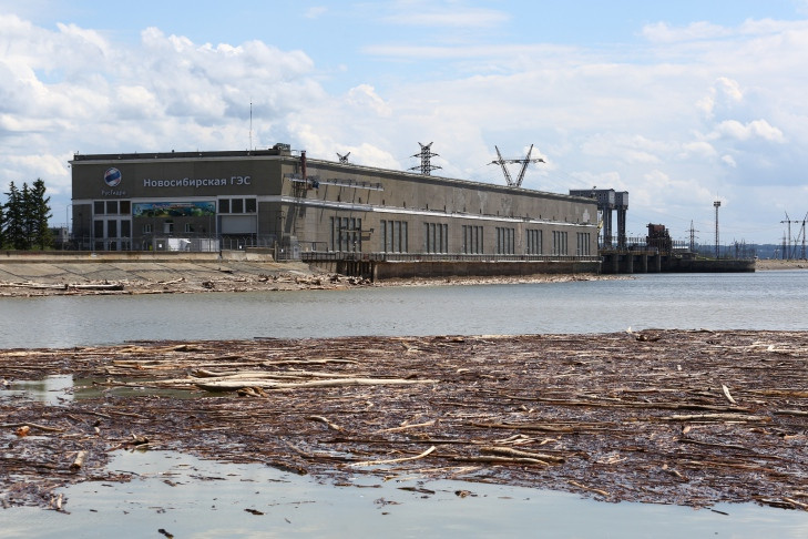 Затвор Новосибирской ГЭС полностью откроют для сброса плавника из водохранилища