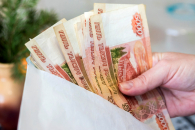 Сроки соцвыплат владельцам изъятых животных установили в Новосибирской области