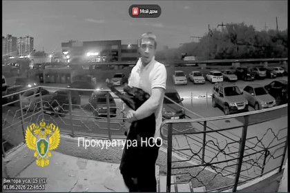 Пьяного владельца питбуля задержали в Новосибирске после нападения на прохожего