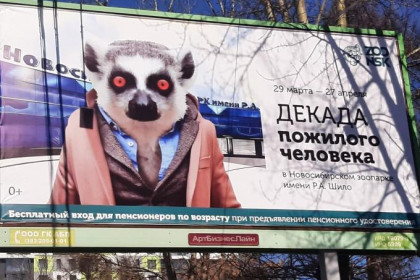 Шокирующий баннер с лемуром объяснили в Новосибирском зоопарке